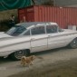 Buick_Invicta 1961 (1)