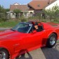Corvette C3 1975_5
