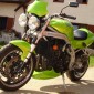 Triumph Speed Triple 955i 2001_ (68)