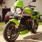 Triumph Speed Triple 955i 2001_ (69)